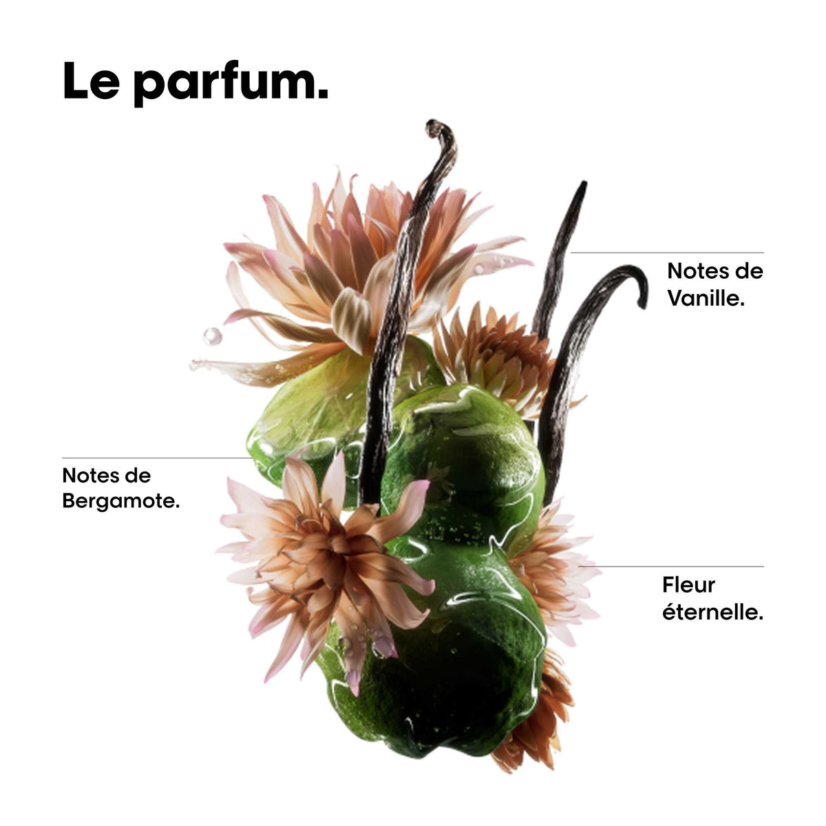Coffret DUO Découverte Absolut Repair Molecular L'Oréal Professionnel