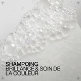 Shampoing Acidic Color Gloss Redken