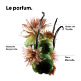 Huile Bi-Phase Absolut Repair Molecular L'Oréal Professionnel