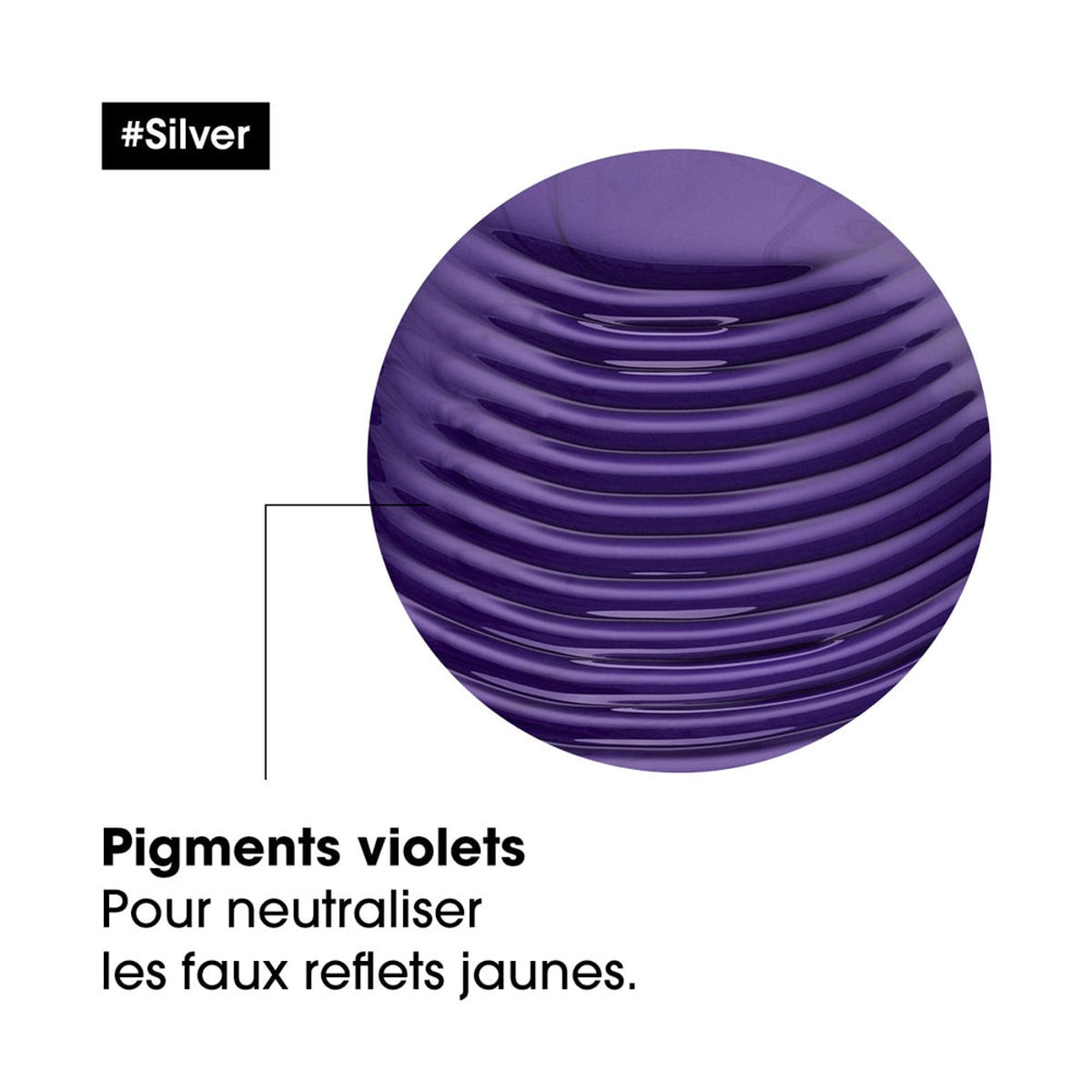 Shampoing Silver L'Oréal Professionnel 500 ML